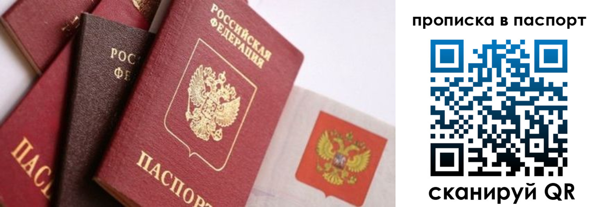 регистрация для школы в Сосновом Бору